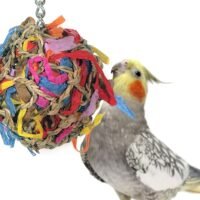 Sweet Feet and Beak Super Shredder Ball - Bird Cage Accessories to