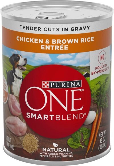 Purina ONE SmartBlend Canned Wet Dog Food