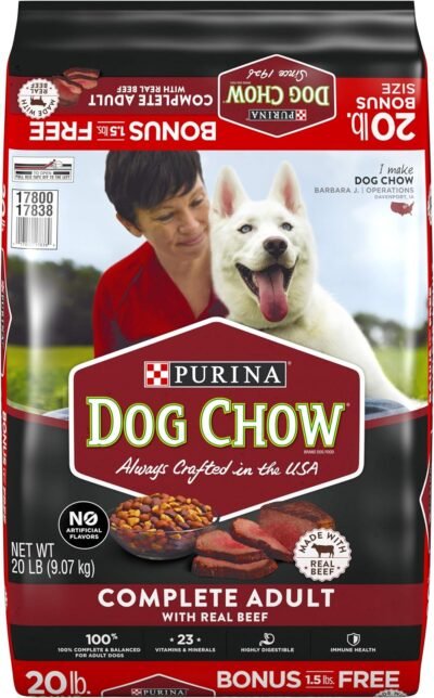 Purina Dog Chow Complete with Real Beef Adult Dry Dog Food
