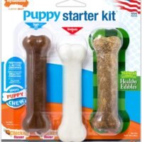 Nylabone Puppy Starter Kit Dog Chew Toys & Treat Chicken & Bacon
