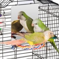 Colorday 7 inch Stainless Steel Bird Mirror with Rope Perch Bird Toys