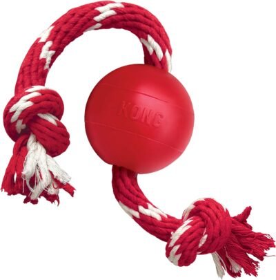 KONG Ball wRope Dog Toy