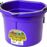 Little Giant Plastic Animal Feed Bucket Purple Flat Back Plastic Feed