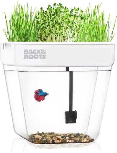 Back to the Roots Water Garden Self-Cleaning Fish Tank That Grows