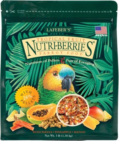 LAFEBER'S Tropical Fruit Nutri-Berries Pet Bird Food Made with