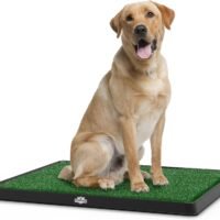 Artificial Grass Bathroom Mat for Puppies and Small Pets- Portable