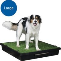 PetSafe Pet Loo Portable IndoorOutdoor Dog Potty Alternative to Puppy