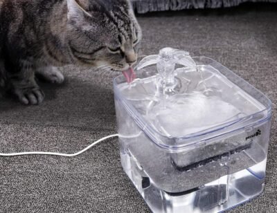 Pecute Cat Water Fountain 3L3 Outlet Mode Automatic Pet Water