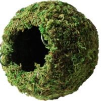 Galpagos 05348 Mossy Cave Hide 6' Green Sphagnum