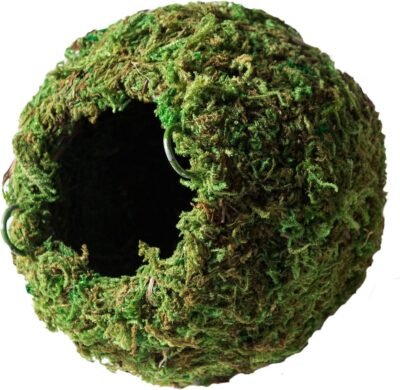 Galpagos 05348 Mossy Cave Hide 6' Green Sphagnum