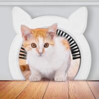 PAWSM Cat Door Removable Brush Grooms Kitty Hides Litter Box from