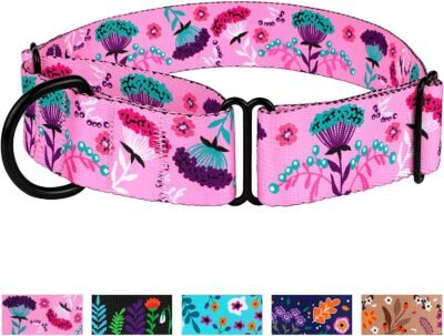 CollarDirect Martingale Collars for Dogs Heavy Duty Floral Pattern