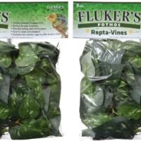 Fluker's Pothos Repta Vines for Reptiles and Amphibians