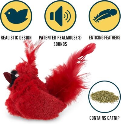 OurPets Play-N-Squeak Real Birds Cat Toys Cat Toys for Indoor Cats