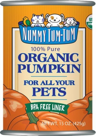 Nummy Tum Tum Pure Pumpkin For Pets 15 Ounce Pack Of 12