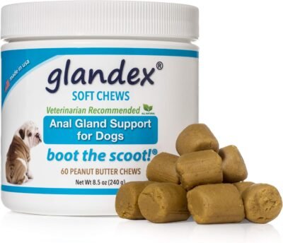 Glandex Anal Gland Soft Chew Treats with Pumpkin for Dogs 60ct Chews