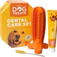 Natural Dog Treats Toothbrush Stick and Toothpaste Beef Flavor Dental