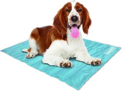 Coleman Pressure Activated Comfort Cooling Gel Pet Pad Mat for Medium