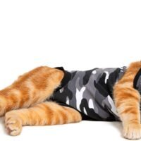 Suitical Recovery Suit for Cats - Black Camouflage