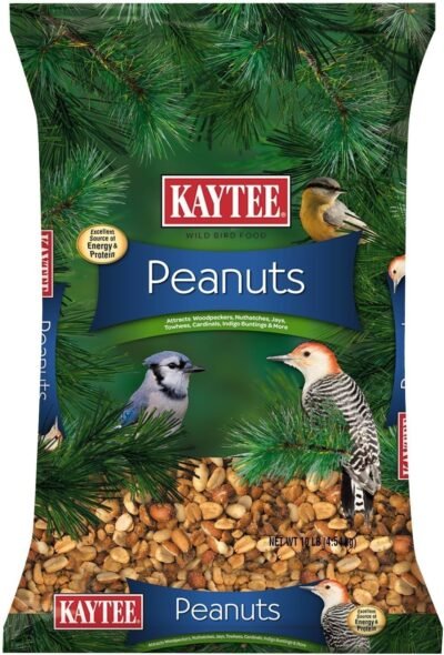 Kaytee Peanuts For Wild Birds 10-Pound