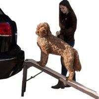 Pet Gear Free Standing Ramp for Cats and Dogs