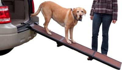 Pet Gear Full Length Ramp Patented Compact Easy-Fold Design