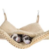 Niteangel Pet Hammock Pocket Sack for Ferrets Rats Opposums Sugar