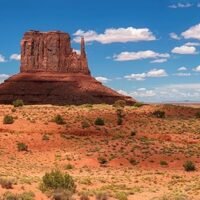 Carolina Custom Cages Reptile Habitat Background Monument Valley