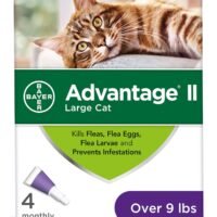 Bayer Animal Health Flea Prevention Cats Over 9 lbs 4 Doses Advantage