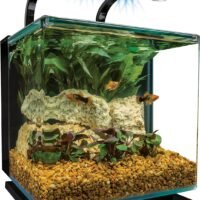 MarineLand Contour Glass Aquarium Kit with Rail Light