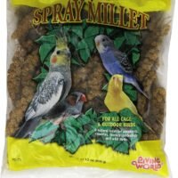 Living World Spray Millet176