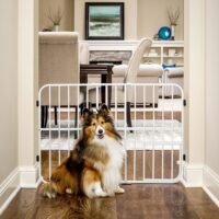 Carlson Pet Products Tuffy Metal Expandable Pet Gate Includes Small