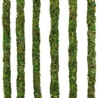 Galpagos 05321 Mossy Terrarium Sticks 6 Pack 24'
