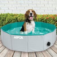 ASPCA Foldable Outdoor Pet Bath Dog Pool for Dogs Cats 315'x315'x8'