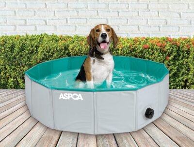 ASPCA Foldable Outdoor Pet Bath Dog Pool for Dogs Cats 315'x315'x8'