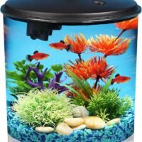Koller Products AquaView 2-Gallon 360 Fish Tank with Power Filter and