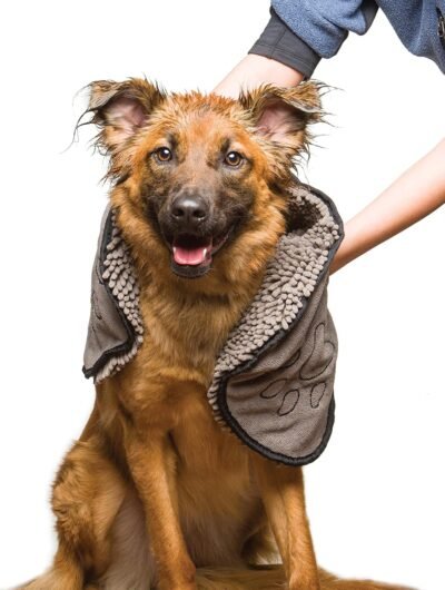 Dog Gone Smart Dirty Dog Shammy