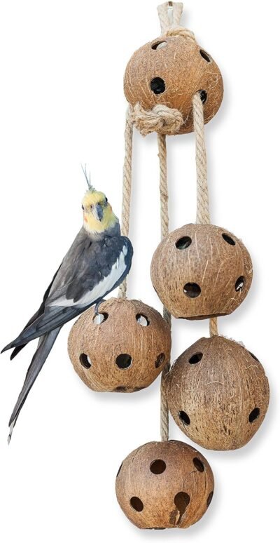 Pet Magasin Hand-Made Heavy Duty Bird Toys for Large Birds Parrot