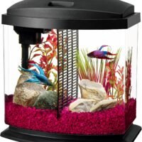 Aqueon LED MiniBow Aquarium Starter Kits with LED Lighting