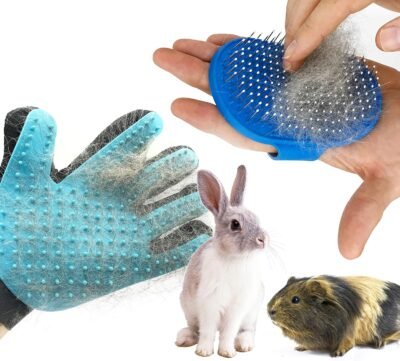 Dasksha Rabbit Grooming Kit with Rabbit Grooming Brush - Rabbit Hair