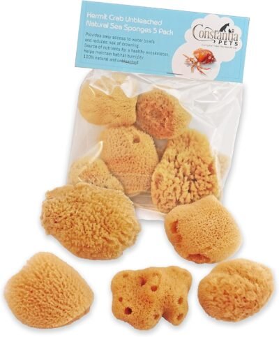 Constantia Pets Hermit Crab Real Sea Sponges - 5 Pack Unbleached