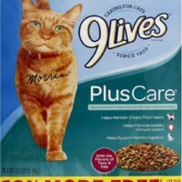 9Lives Plus Care Dry Cat Food 132 lb