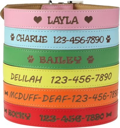 Custom Catch Personalized Dog Collar - Engraved Soft Leather in XS