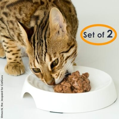 CatGuru Whisker Stress Free Cat Food Bowl Reliefs Whisker Fatigue