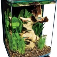 MarineLand 5 Gallon Portrait Glass LED Aquarium Kit