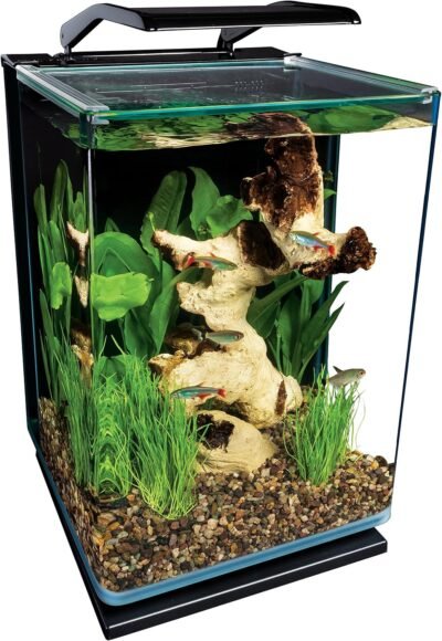 MarineLand 5 Gallon Portrait Glass LED Aquarium Kit