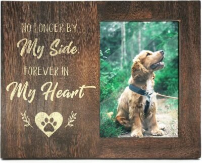 Ku-dayi No Longer by My Side Forever in My Heart Pet Memorial