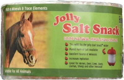 Jolly Stall Snack Refill Salt