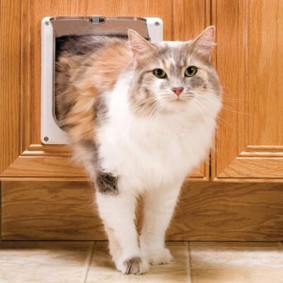PetSafe Interior Cat Door 2-Way Lock or 4-Way Lock Options For Cats