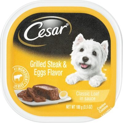 Cesar Breakfast Collection Gourmet Wet Dog Food Pack of 24